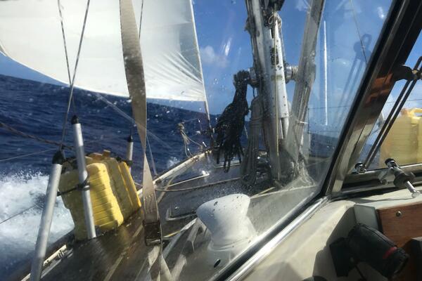 Barfly 39ft Najad Yacht For Sale