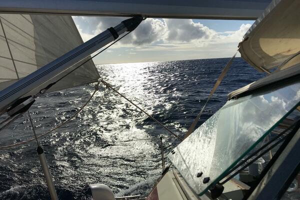 Barfly 39ft Najad Yacht For Sale