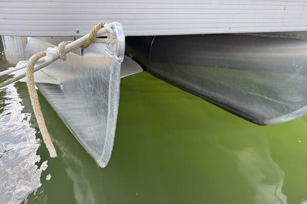 23ft Bennington Yacht For Sale