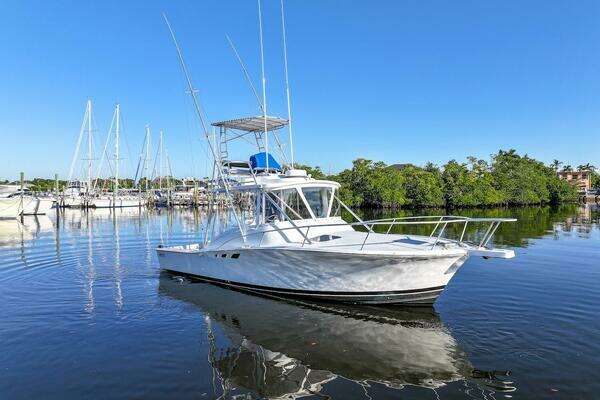 Photo of the 1997 Luhrs Tournament 320 Open "Luhr Em In"