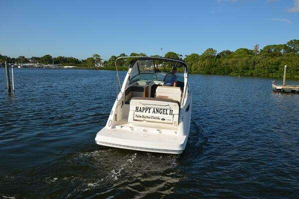 Photo of the 2015 Sea Ray 260 Sundancer