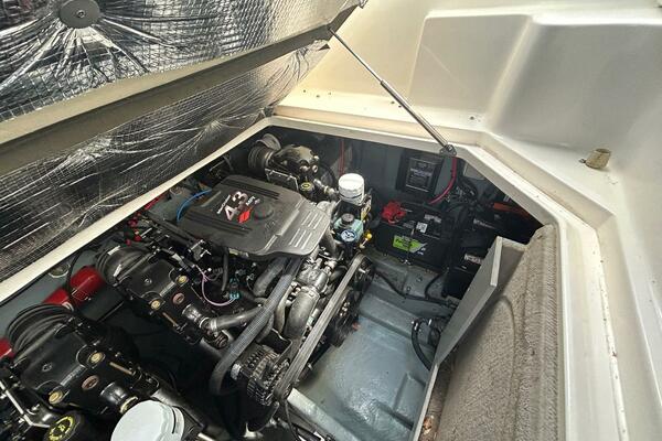 Loose Seal 28ft Sea Ray Yacht For Sale Loose Seal 28ft Sea Ray Yacht For Sale