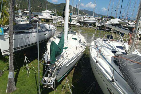 Photo of the 1994 Freedom  "Water Bear"