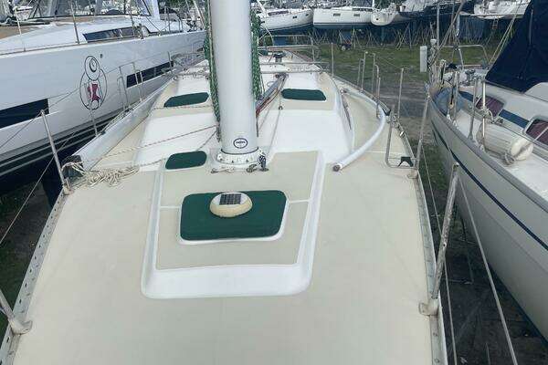 Photo of the 1994 Freedom  "Water Bear"