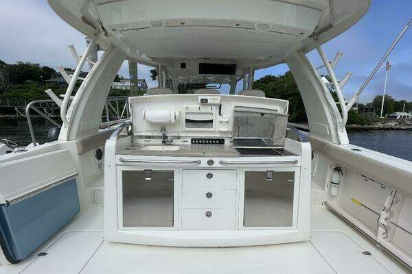 Photo of the 2017 Boston Whaler Outrage