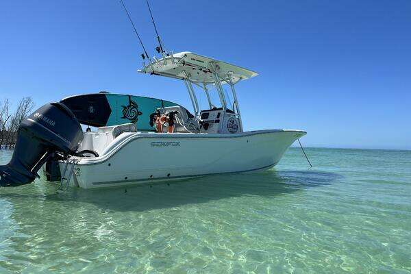 Photo of the 2020 Sea Fox  "Gypsy Soul"