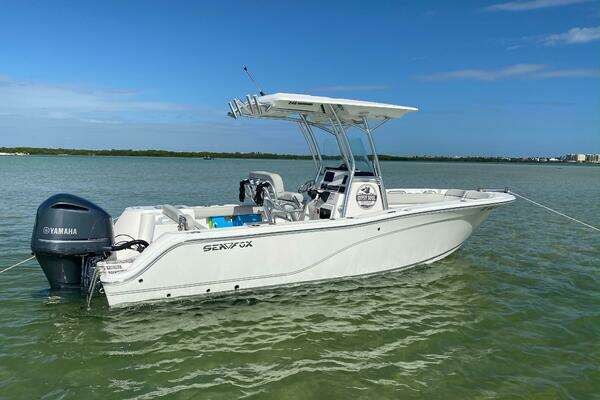 Photo of the 2020 Sea Fox  "Gypsy Soul"