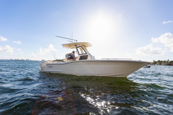 26ft Scout Yacht For Sale
