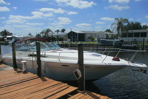 Photo of the 1991 Sea Ray 
