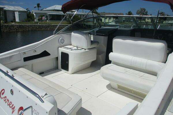 Photo of the 1991 Sea Ray 