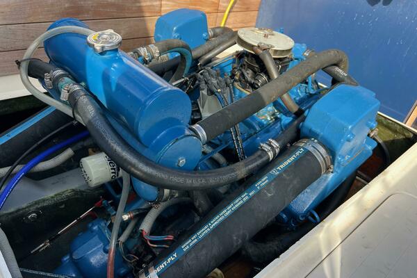 1984 Bertram Express Moppie Power 9799450 978458867 0 190520250638 15