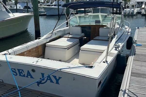 1984 Bertram Express Moppie Power 9799450 978458853 0 190520250637 1