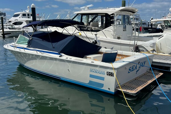 1984 Bertram 26 Express Moppie