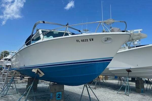 1984 Bertram Express Moppie Power 9799450 978458860 0 190520250637 8