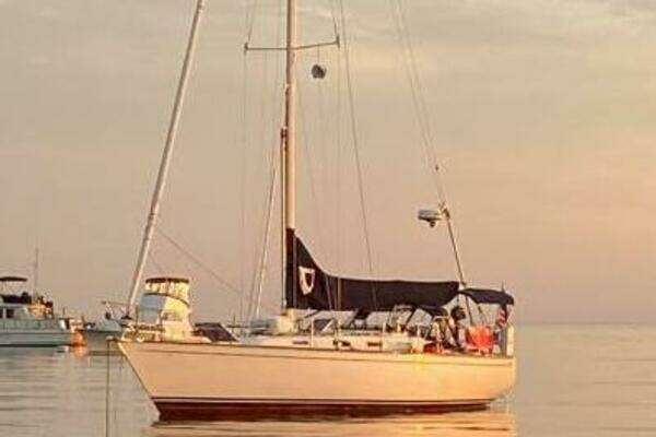 Photo of the 1987 Tartan 40CB "IBIS"