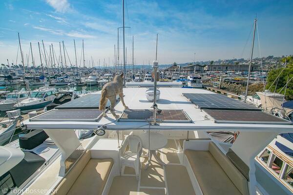 Si Como No 45ft DeFever Yacht For Sale