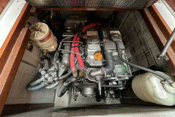 Photo of the 2006 Shannon 