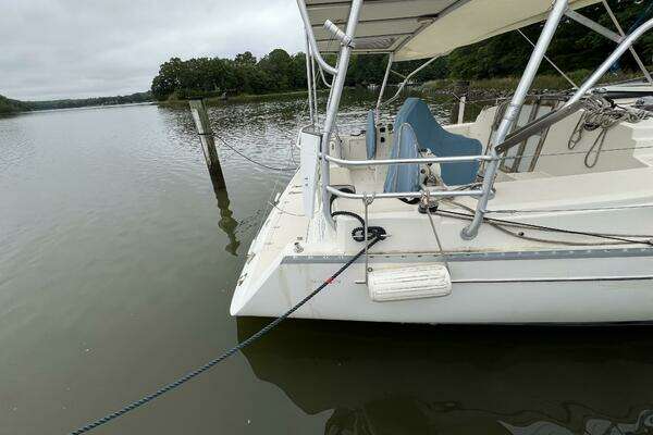 Photo of the 2006 Shannon 