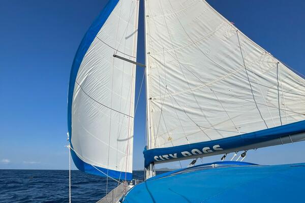 City Dogs 39ft Beneteau Yacht For Sale