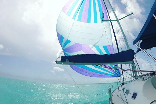 City Dogs 39ft Beneteau Yacht For Sale