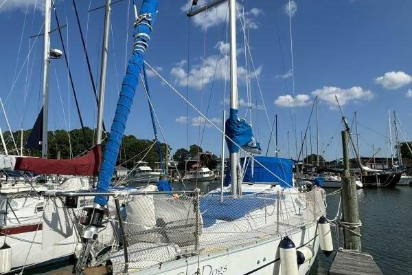 City Dogs 39ft Beneteau Yacht For Sale
