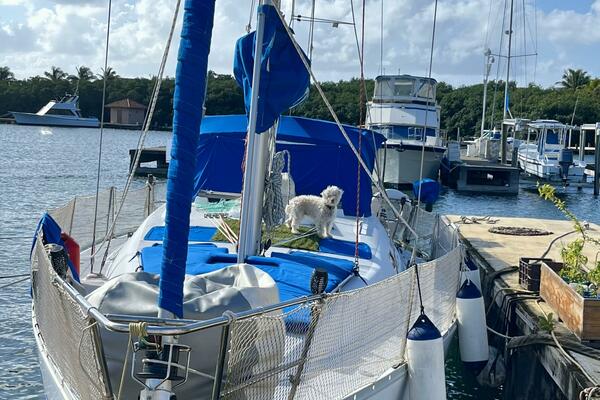 City Dogs 39ft Beneteau Yacht For Sale