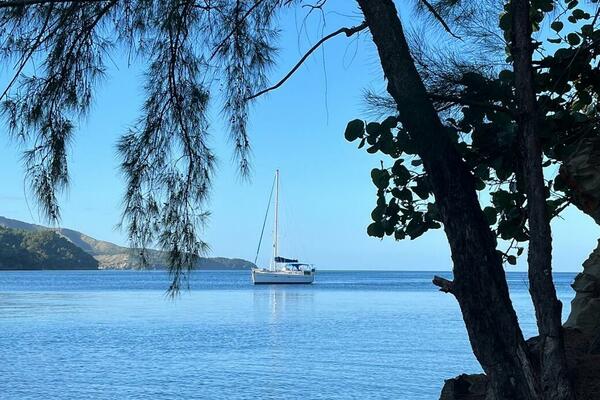 City Dogs 39ft Beneteau Yacht For Sale