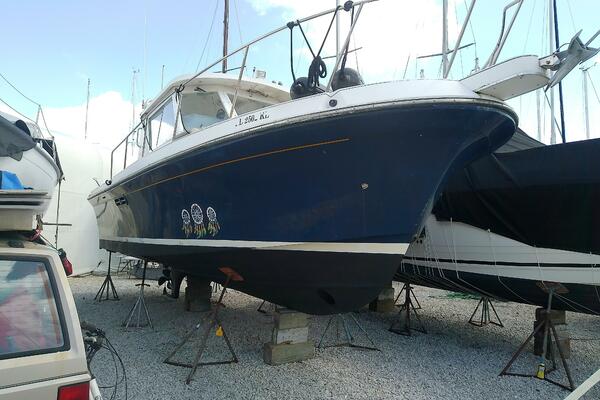Dream Catcher 31ft Albin Yacht For Sale