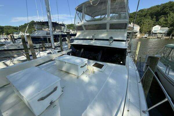 Photo of the 1980 Viking 43 DCMY "Gettin Looped"