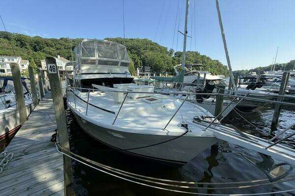 Photo of the 1980 Viking 43 DCMY "Gettin Looped"