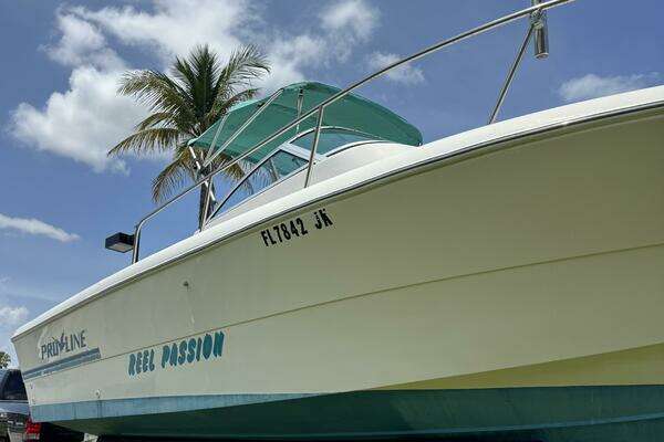 Photo of the 1995 Pro-Line 231WA "Reel Passion "