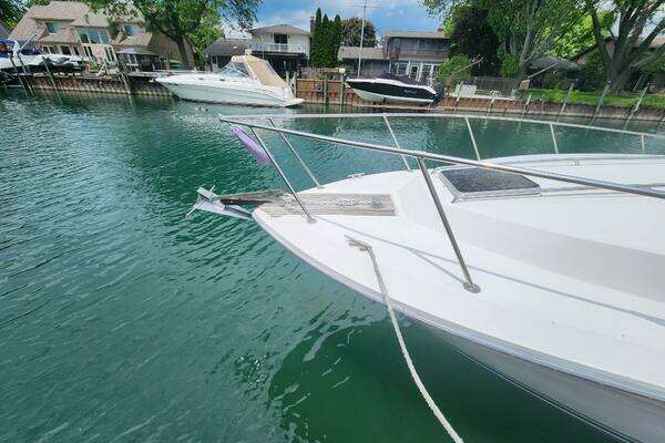 Photo of the 1987 Sea Ray 