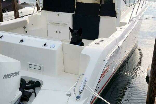 Boston Whaler 325 Conquest Yacht For Sale