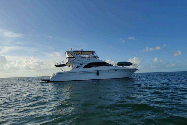 Sea Ray 560 Sedan Bridge Yacht For Sale