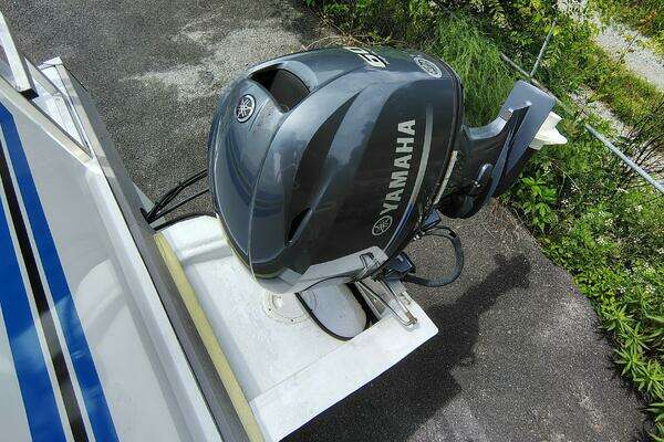 Photo of the 2017 Catamaran Cruisers Lil Hobo 31