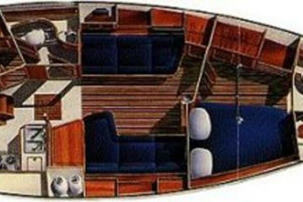 Island Packet 40 layout