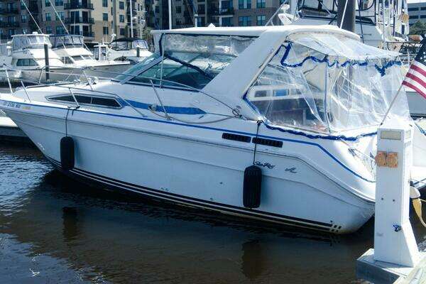Photo of the 1990 Sea Ray  "Alma"