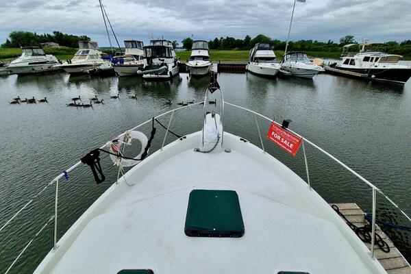 Liquid Asset 36ft Carver Yacht For Sale