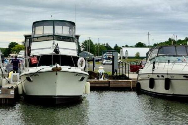 Liquid Asset 36ft Carver Yacht For Sale