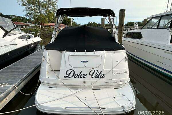 Photo of the 2006 Chaparral Signature 290 "Dolce Vita"
