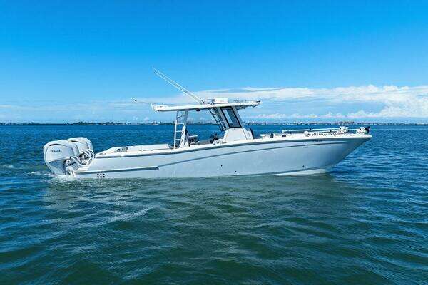 39' World Cat
