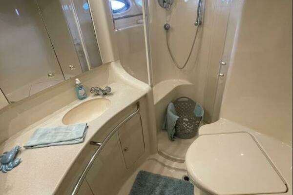 Sea Ray 480 Sedan Bridge Yacht For Sale