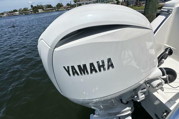 28ft World Cat Yacht For Sale