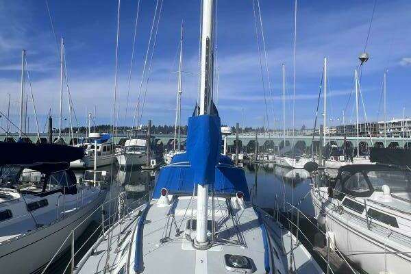 Photo of the 1989 Catalina  "Saving Grace"