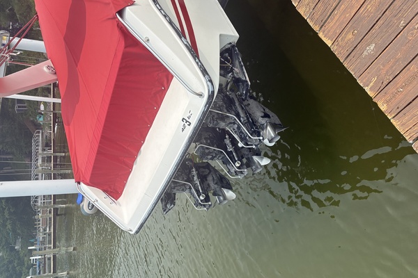 42ft Baja Yacht For Sale
