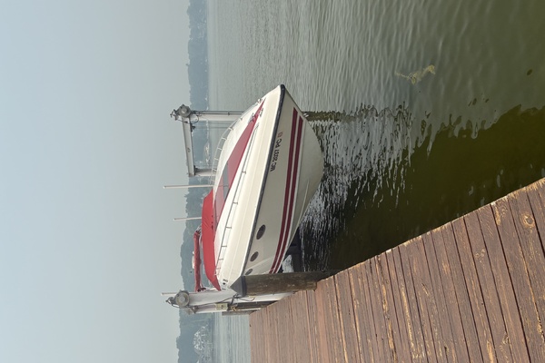 42ft Baja Yacht For Sale