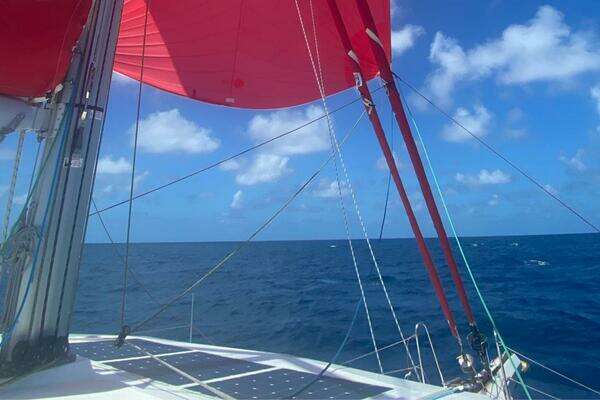 Neel 47 Yacht For Sale