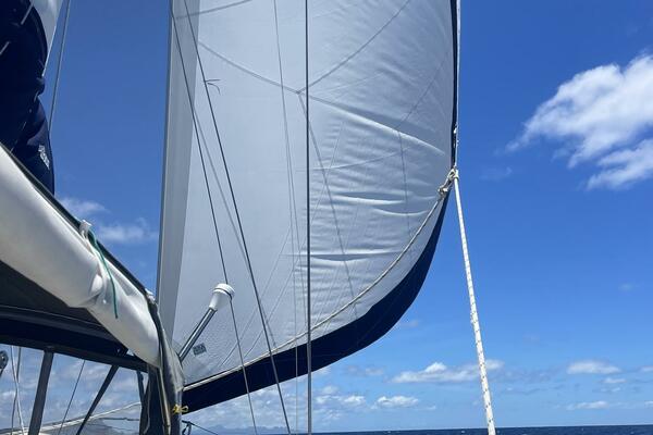 Tohi 41ft Morgan Yacht For Sale