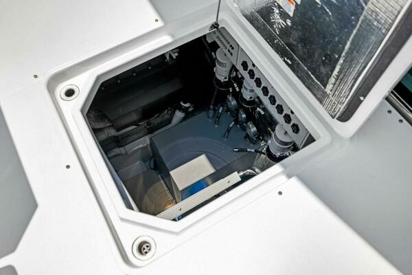 2022 50 Cruisers Cantius - Mint 2 Bee - 