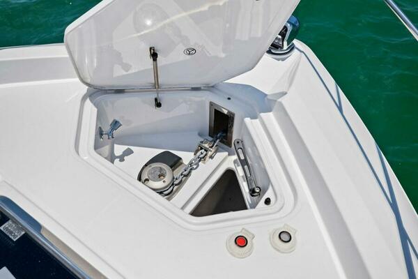 2022 50 Cruisers Cantius - Mint 2 Bee - Anchor Locker